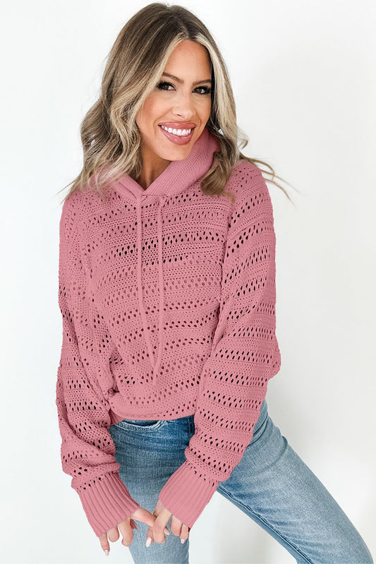 PEACH BLOSSOM POINTELLE KNIT RAGLAN SLEEVE HOODIE